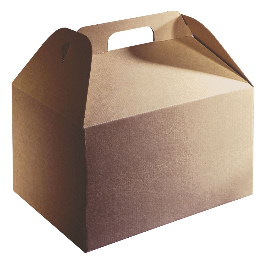 Take Out Box With Handle