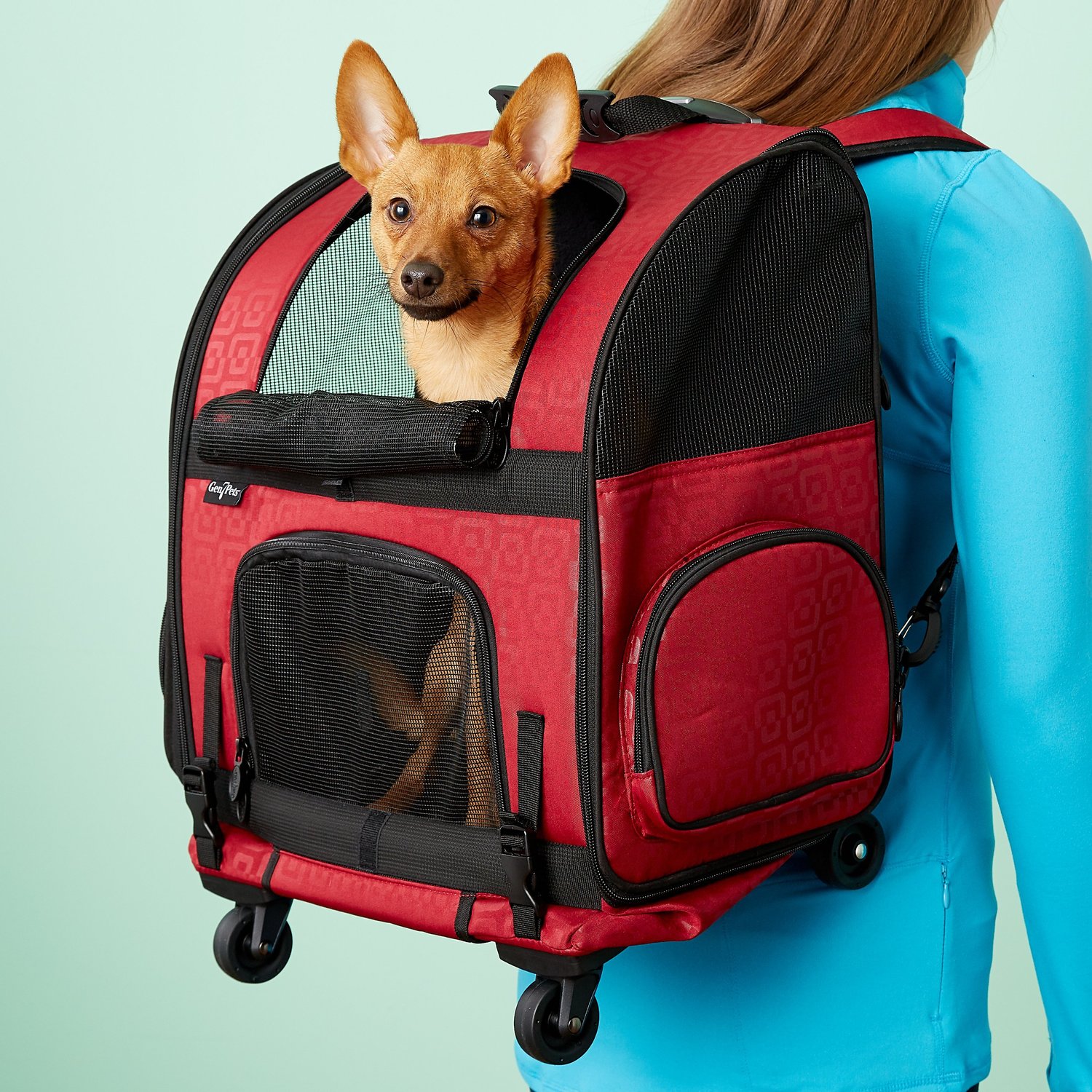 Pet Carriers