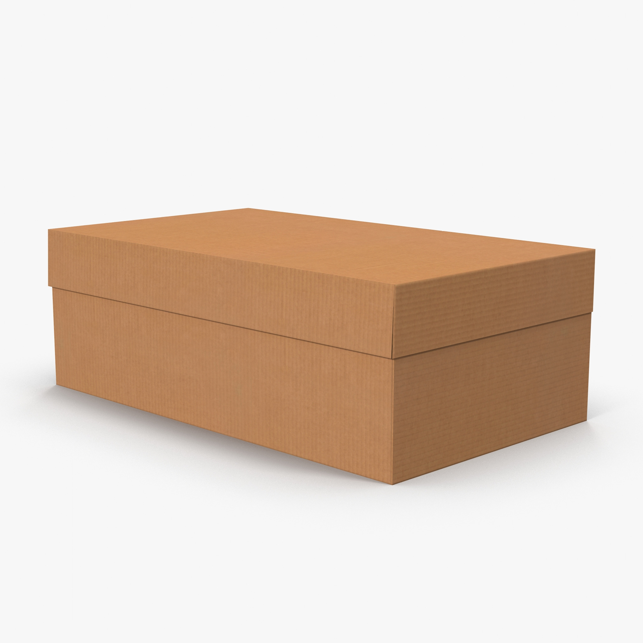 Cardboard Shoe Box