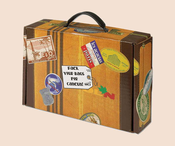 Eco Friendly Suitcase Box